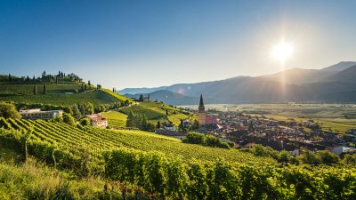 sonnenaufgang_tramin_retusche_hagelnetze_und_wasserleitung_und_stromleitung_dsc9955-2-2_c_dietmar_mitterer_zublasing.jpg sonnenaufgang_tramin_retusche_hagelnetze_und_wasserleitung_und_stromleitung_dsc9955-2-2_c_dietmar_mitterer_zublasing.jpg